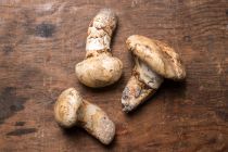 Wild Matsutake (Pine) Mushrooms / lb